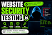 do website security testing and find vulnerabilities