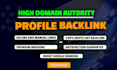 create  manually HQ profile backlinks and high da  link building