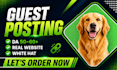 publish high authority pet guest post
