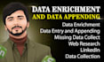 data enrichment and data appending