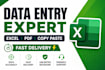 do accurate excel data entry, data cleaning, excle work fast