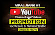 do professional video promotion in USA