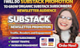do organic substack subscribers growth, substack newsletter, substack promotion