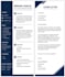 create modern CV and professional resume