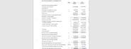 prepare financial statements for you