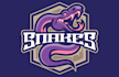 make snake mascot logo design with company