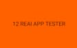 app testing web testing