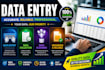 do data enrty in microsoft excel