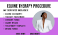 write equine therapy policy
