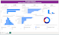 build professional excel dashboard, charts and data cleaning