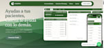 lead the UX and UI design for your website