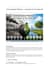 passive income SEO articles