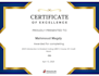 do medical coding auditing and content writing