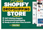 setup your profitable dropshipping store for you