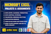 do microsoft excel, ms word projects, assignments and module