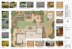 a harmonious landscape backyard, frontyard, patio, pool as a landscape architect