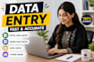 do fast data entry, pdf  to excel, copy paste , data cleaning