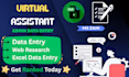 do admin data entry and data cleaning as per your demand