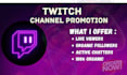 boost your twitch channel with real promotion