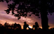 provide high quality nature and landscape photography