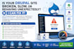 fix drupal 7 to 11 bugs, theme issues, module updates and troubleshoot