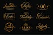 design your unique artistic signature logo