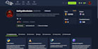perform a professional website penetration test and vapt report