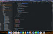 fix flutter bugs crashes debug optimize