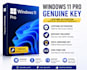 install windows 11 pro and setup your PC remotely