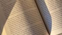 be your beta reader and give honest constructive feedback