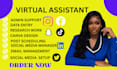 be personal assistant executive gohighlevel virtual assistant social media va