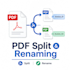 convert PDF to word, split PDF and rename files professionally