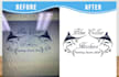 vectorize, convert low quality image in high quality vector