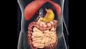 do 3d medical device animation 3d medical explainer 3d surgical device animation