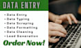 data entry, excel, data cleaning, copy paste, PDF to excel