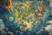 do fantasy map design