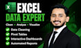 do professional excel data cleaning and formatting