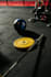create a professional custom workout plan for you