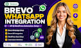 setup brevo whatsapp integration API wordpress sync setup