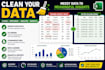 data cleaning and professional reports