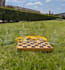 play chess against you and analyze them with you