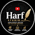 write urdu script for your youtube video