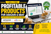 deliver profitable products for amazon and ebay with suppliers
