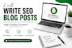 write SEO blog posts and website content