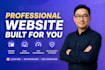 professional website built for you