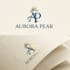 design professional logo design
