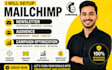 do mailchimp newsletter mailchimp audience setup mailchimp campaign optimization