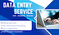 provide accurate data entry and excel services