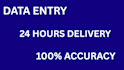 do fast data entry, copy paste, pdf to excel within 24 hours