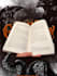 proof read or edit your story, article, report or funding bid